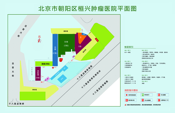 草逼黄色小网站鸡吧北京市朝阳区桓兴肿瘤医院平面图